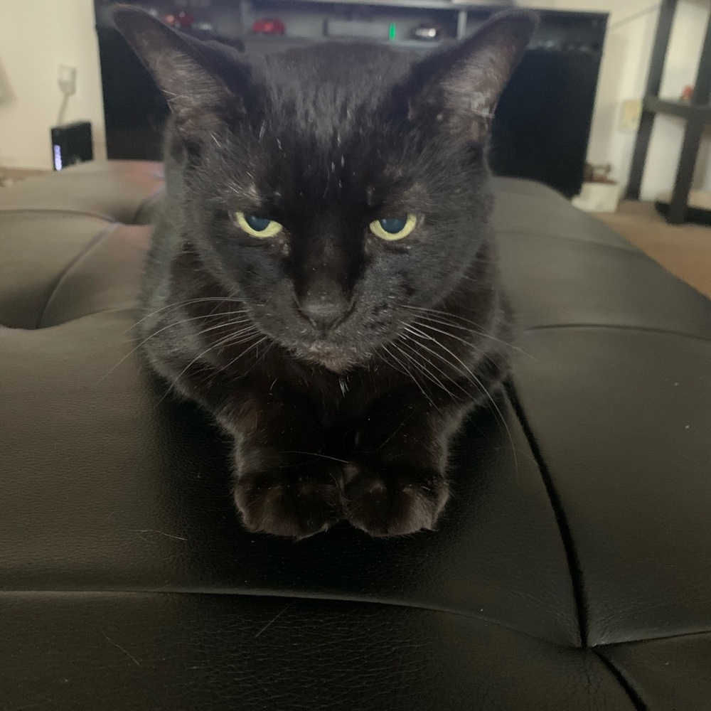 Meet your Posher, Mayra